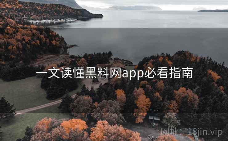 一文读懂黑料网app必看指南