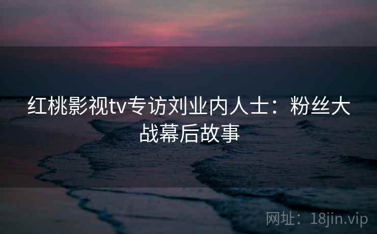 红桃影视tv专访刘业内人士：粉丝大战幕后故事