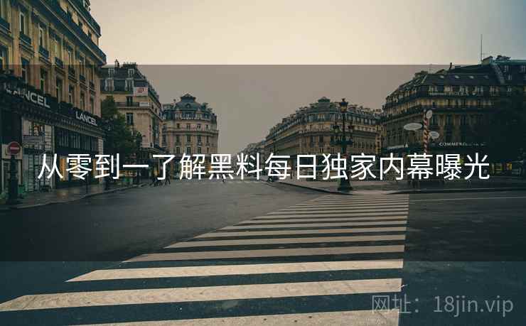 从零到一了解黑料每日独家内幕曝光